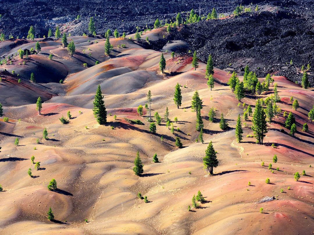 From Yellowstone to Yosemite: A Journey Through America's National Parks