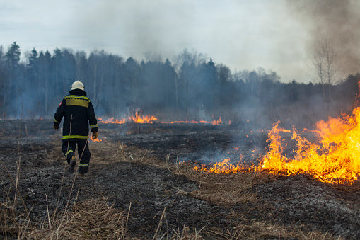 National Parks and Forest Fires: The Impact of Human Activity