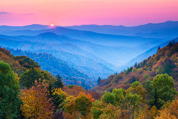 Clearing the Air: The Fight Against Ground-Level Ozone Pollution in the Great Smoky Mountains